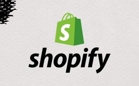 shopify多久回款？shopify如何用googleads推广